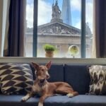Book our Shard View Serviced Apartments in London with Unrivalled View Of The Shard, lift access and Full Furnished with All Bills Included! Urban Stay