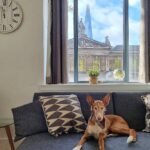 Book our Shard View Serviced Apartments in London with Unrivalled View Of The Shard, lift access and Full Furnished with All Bills Included! Urban Stay