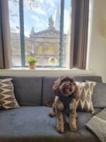 Book our Shard View Serviced Apartments in London with Unrivalled View Of The Shard, lift access and Full Furnished with All Bills Included! Urban Stay