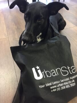 Pet welcome pack - Urban Stay pet friendly apartments London 5 FREE Pet welcome pack with Urban Stay pet friendly apartments London - Book now! +44 (0) 208 691 3920
