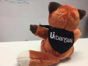 Urban Stay's Serviced Apartments Mascot - Felix The Fox