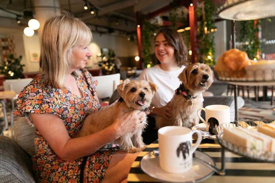 Top 5 Dog Friendly Cafe's & Restaurants in London