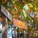 Serviced Accommodation in Hull - Kingston Villas Apartments - Pearson Park Hull - Urban Stay 8