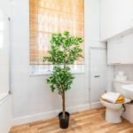 Camden Luxury Corporate Apartments - Goldington Crescent Apartments Near King's Cross Theatre - Urban Stay 6