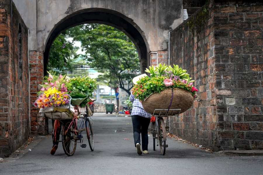 Columbia Road Flower Market - Fun Things to Do in London in Spring. Urban Stay