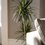 Find comfort in Ayr with Short Let Apartments at Sea Breeze. Your ideal short-term rental awaits – book now for a delightful stay | Urban Stay