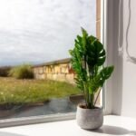 Discover Scottish Seafront Accommodation at Shore View Apartment. Enjoy panoramic views and tranquility for a memorable stay.| Urban Stay