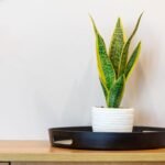 Holiday Apartments Ayrshire-Marlborough Court | Urban Stay