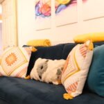 Stay at Bedford Serviced Accommodation on Ashburnham Road. Modern apartments near Bedford town centre, train station, and local attractions.