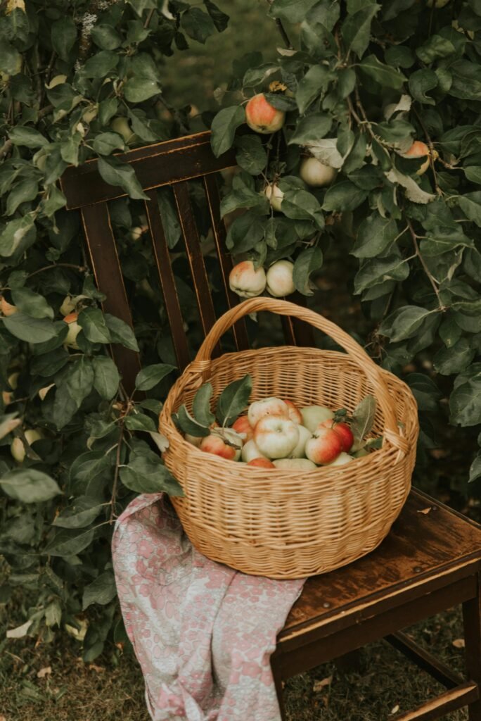  Ultimate Guide to October Adventures in the UK Top Things to Do in 2025 apple picking