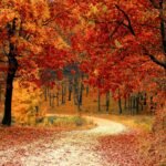 Ultimate Guide to October Adventures in the UK Top Things to Do in 2025 countryside escapes