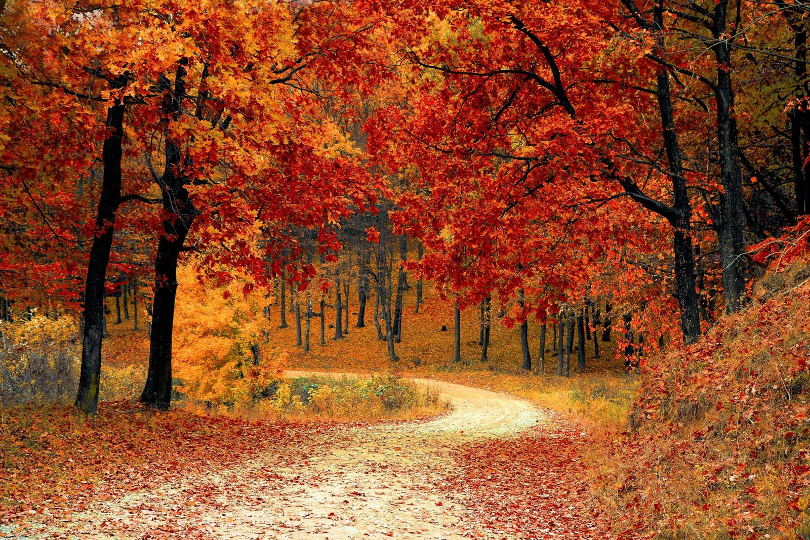 Ultimate Guide to October Adventures in the UK Top Things to Do in 2025 countryside escapes