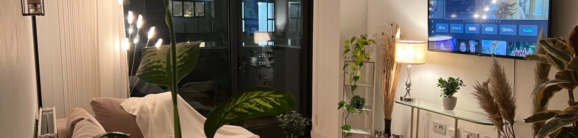 Book modern accommodation in Elephant and Castle. Stylish serviced apartment near Waterloo with excellent transport links into Central London access.