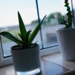 Book Halifax Accommodation in a spacious countryside apartment. Ideal for short let apartments and extended stays near Halifax Station.