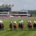 Book Corporate Accommodation Suffolk in Newmarket. This holiday home with parking is the ideal  short let apartment for contractors or families