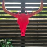 Book Short Let Apartments Cambridge. Ideal for corporate lets and extended stays near Cambridge Station and key attractions. Book Now