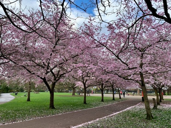 Holiday Apartments Fulham | West London Accommodation Book-Holiday-Apartments-Fulham-for-business-and-leisure-stays.-Spacious-West-London-accommodation-near-transport,-parks,-and-attractions.